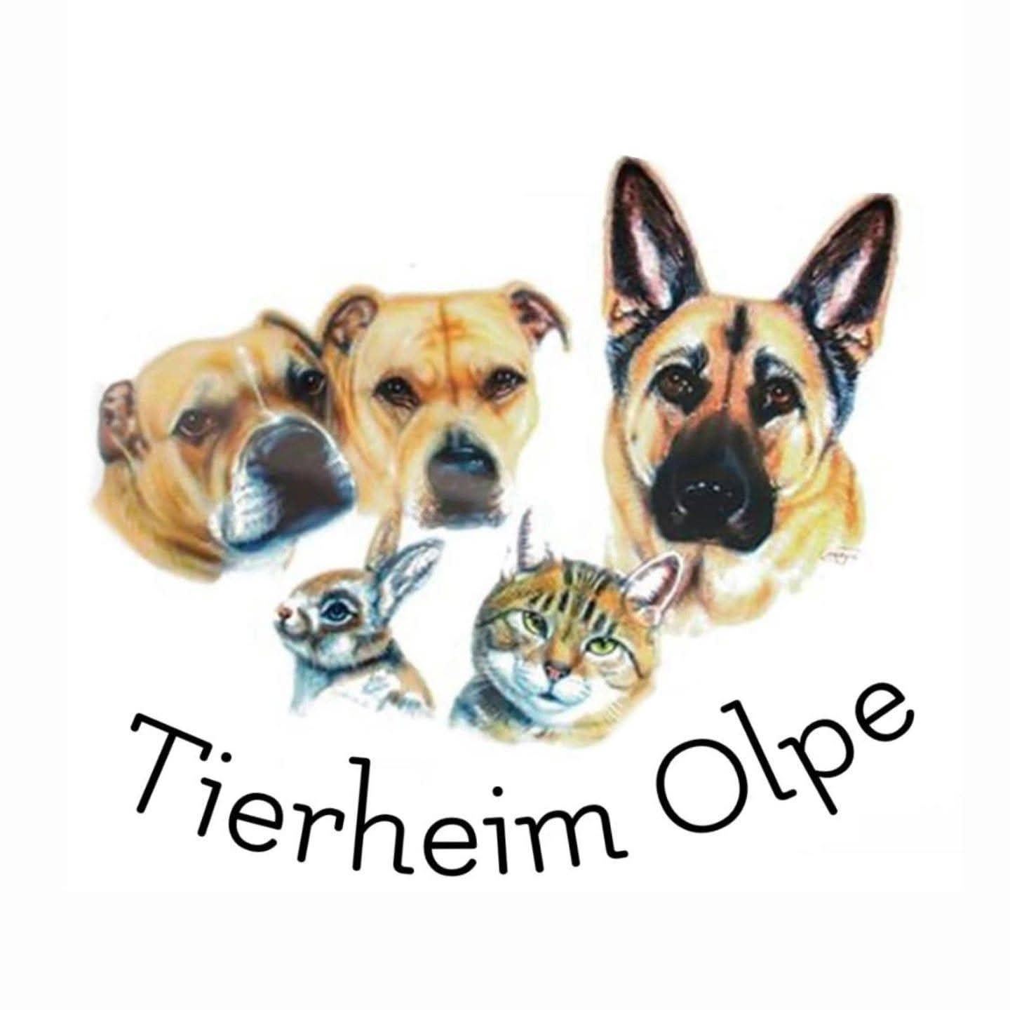 Tierheim Olpe Logo